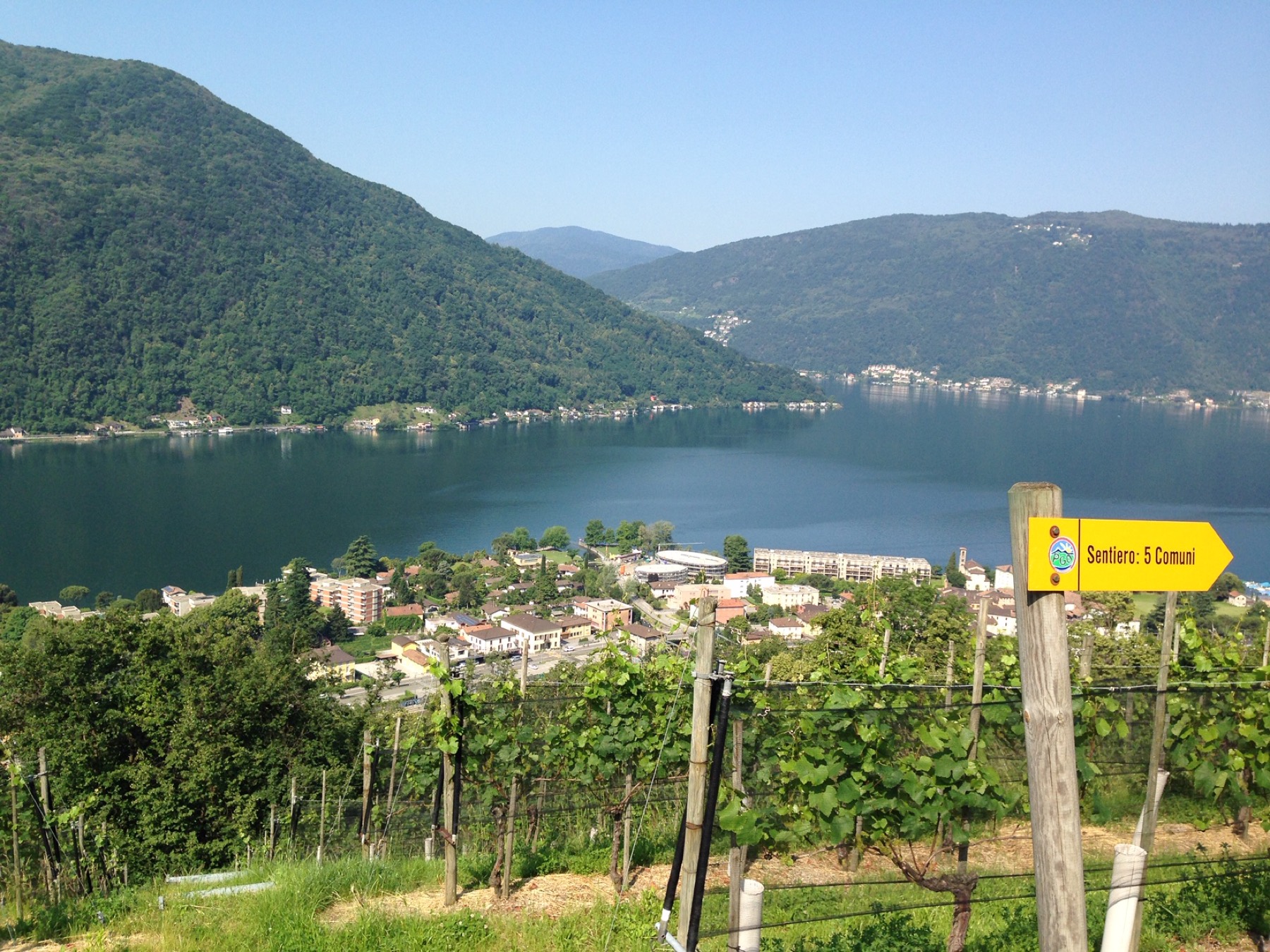 Vista sul lago di Lugano dai vigneti del Monte Generoso, con il segnavia escursionistico del Sentiero 5 Comuni